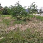 hillsborough lot