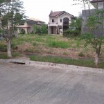 hillsborough pointe subdivision