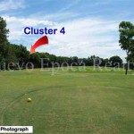 Cluster 4 fairway