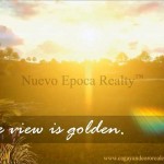 townhouses and condo units