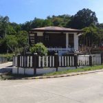 house and lot