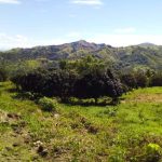 agricultural farm