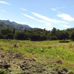 agricultural farm lots