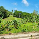 agri lot