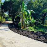 agricultural lot