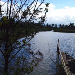 fish farm