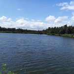 agricultural fish farm